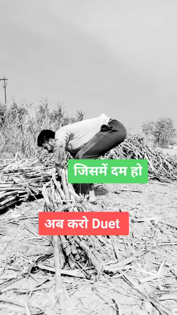 @Shamli (UP 19)