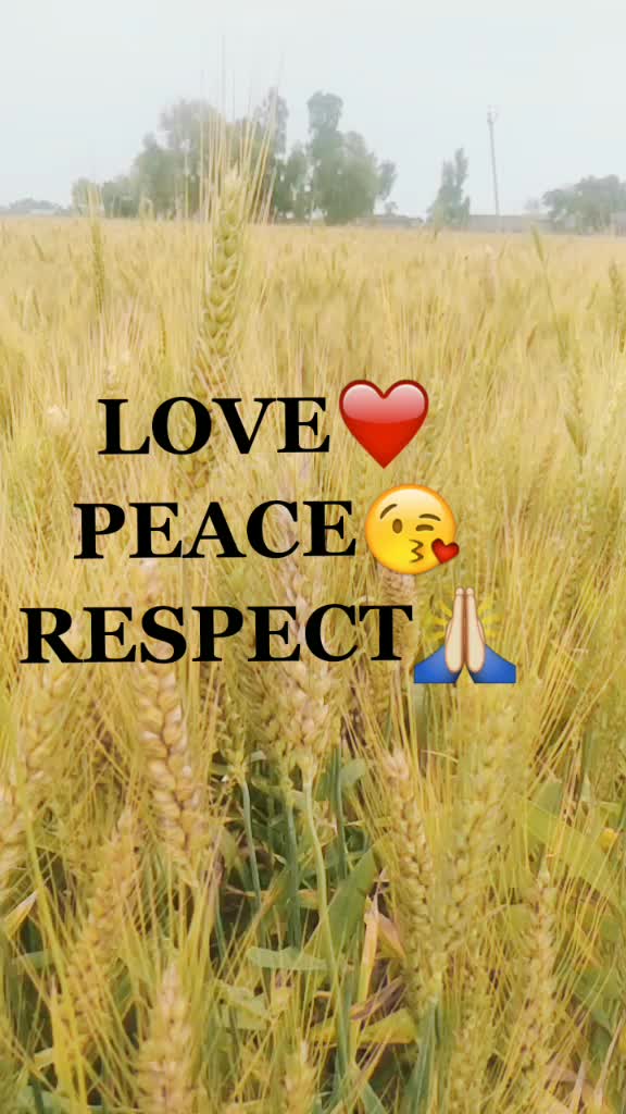 @vishalnadha