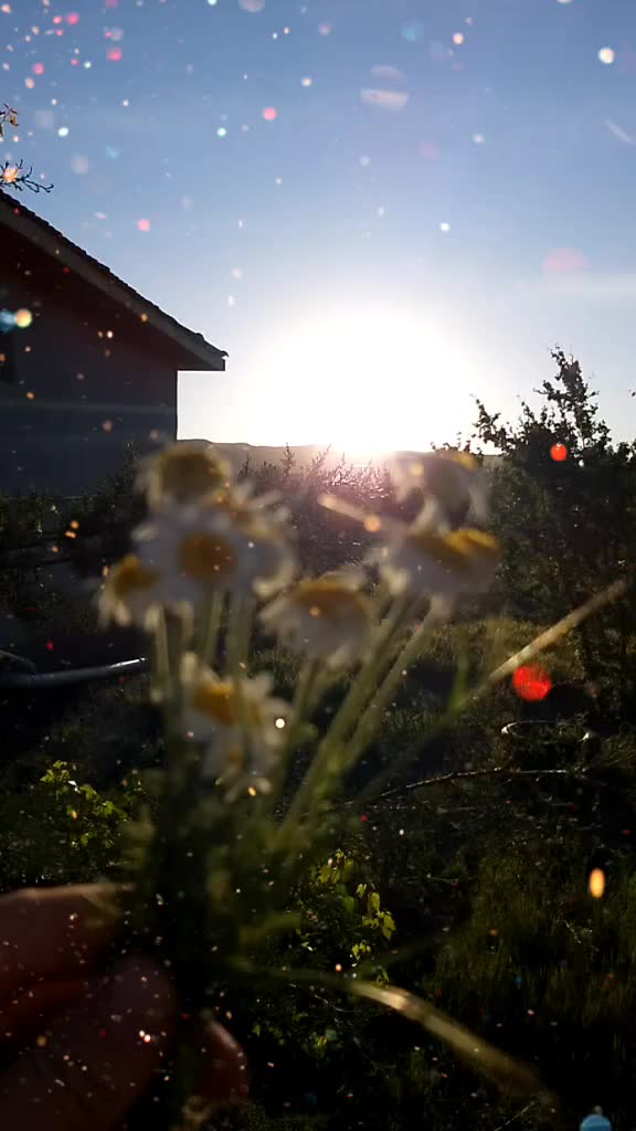 @Büşra alkan