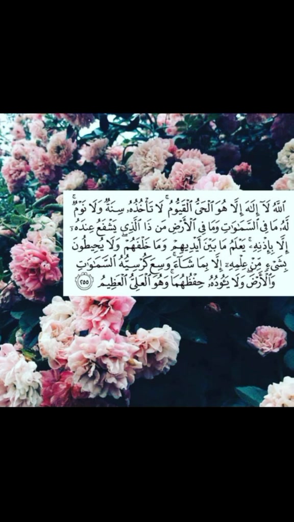 @olfa