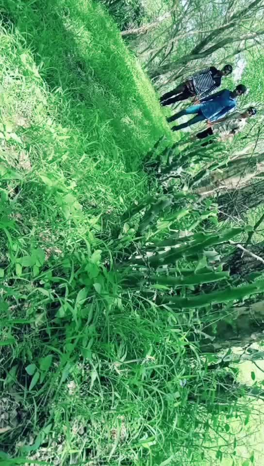 @સુરેશ કટોશણા