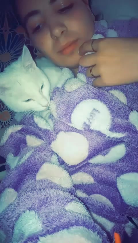 @aya prinSisa