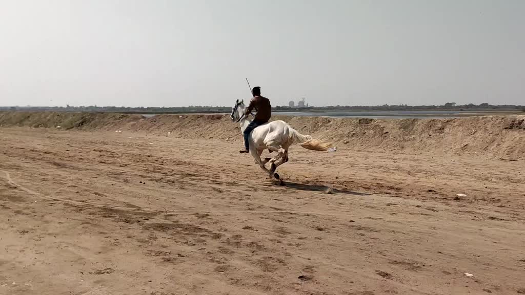 @Rahil Akhani