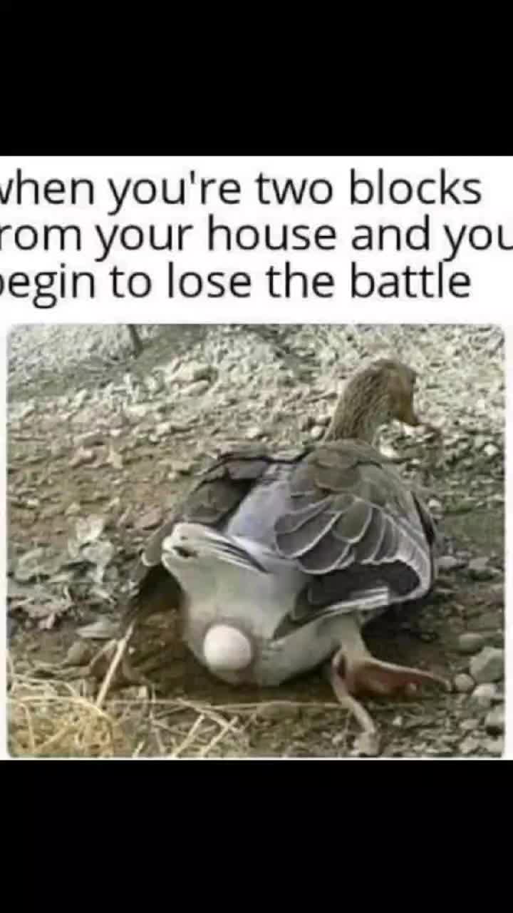@SuperMemeMan