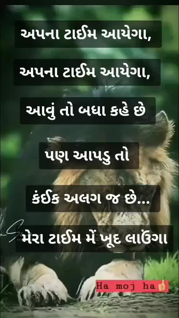 @Dodiya Status