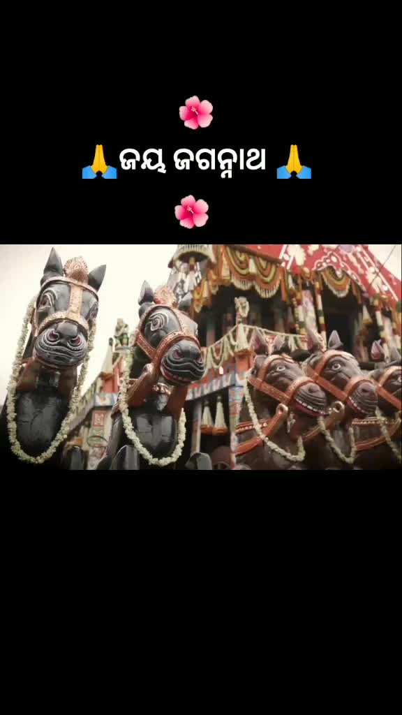 @@ sena 5590