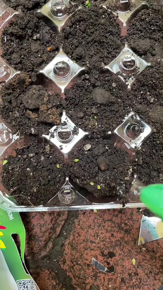 @Ayuda al planeta 🌍