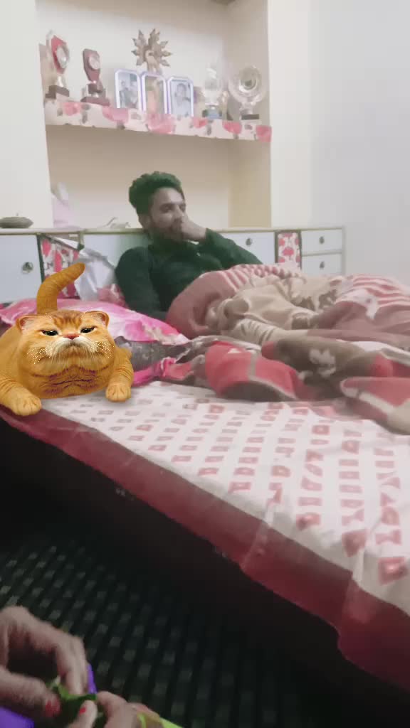 @user762667