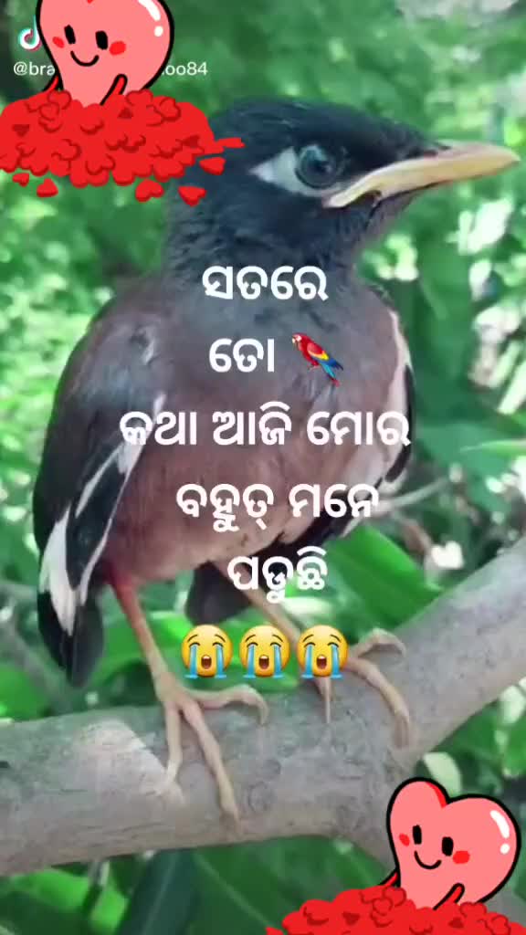 @sad😂 girl Dipti💔💔