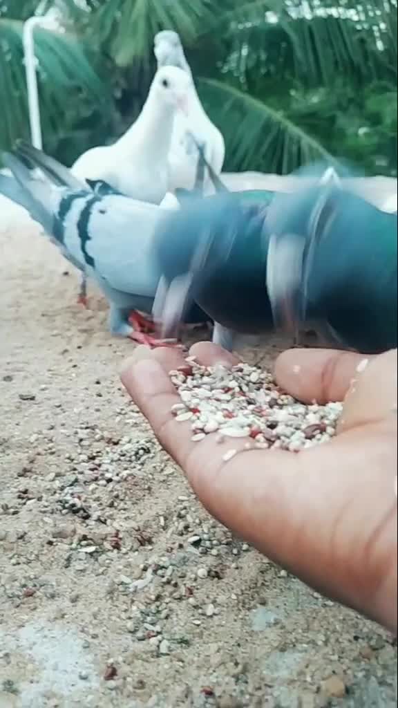 @Amar 307