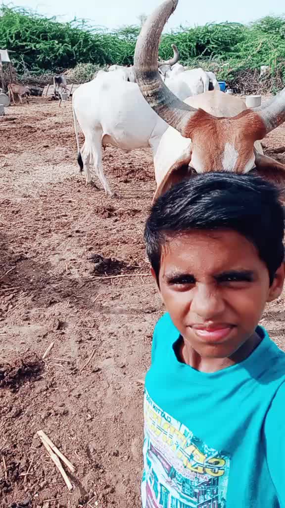 @s.h.sumra786