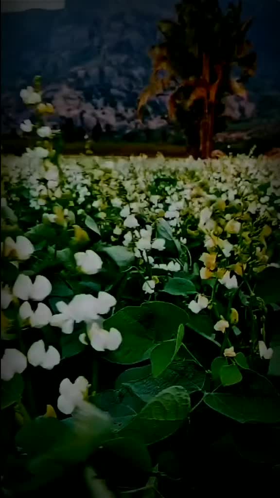 @Mani Kandan
