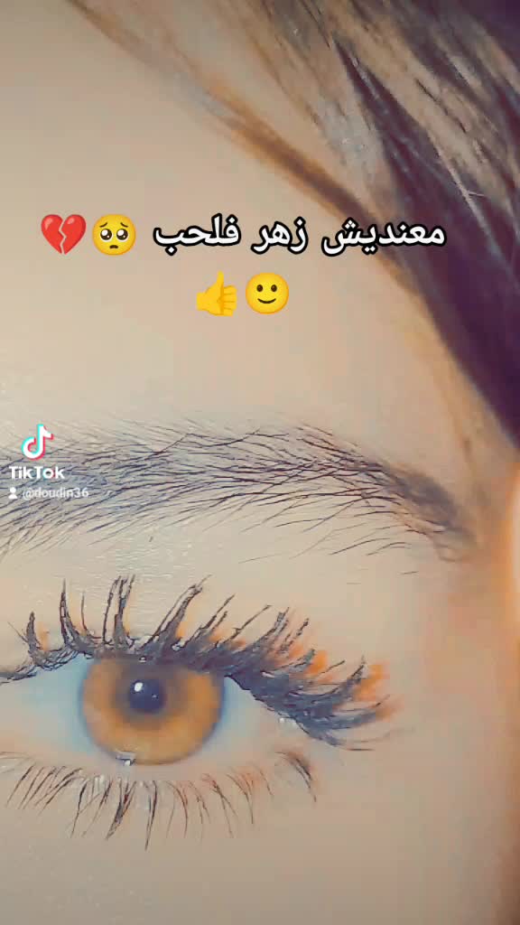@🍯Skikdia 🍯🫀🦋