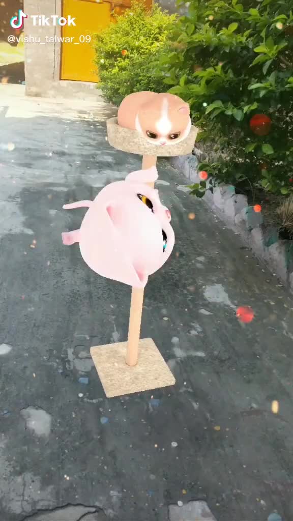 @tavish