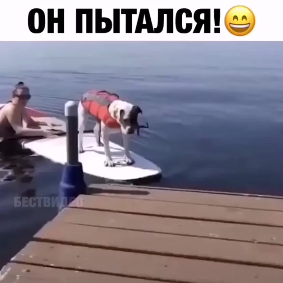 @Угарные видео 🤣