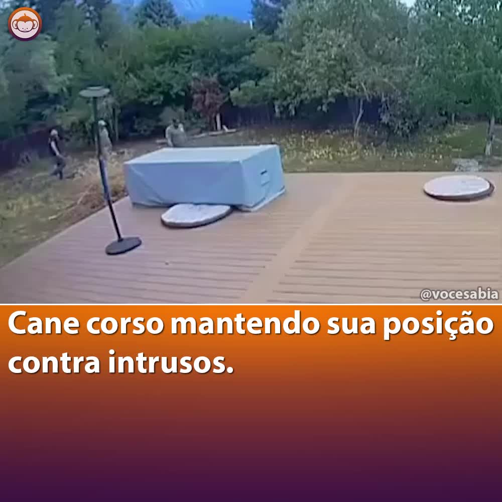@Você Sabia?
