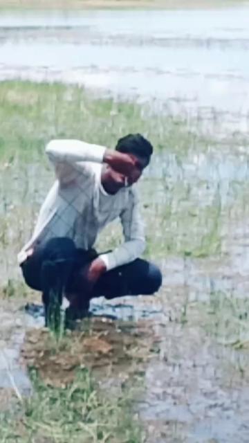 @Bhagya Raj