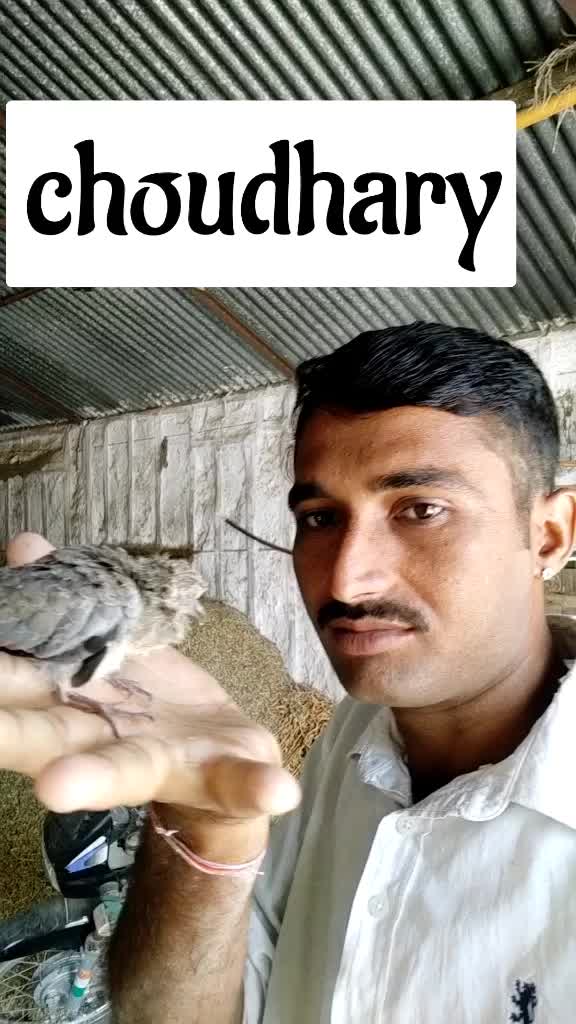 @MuleshChoudhary