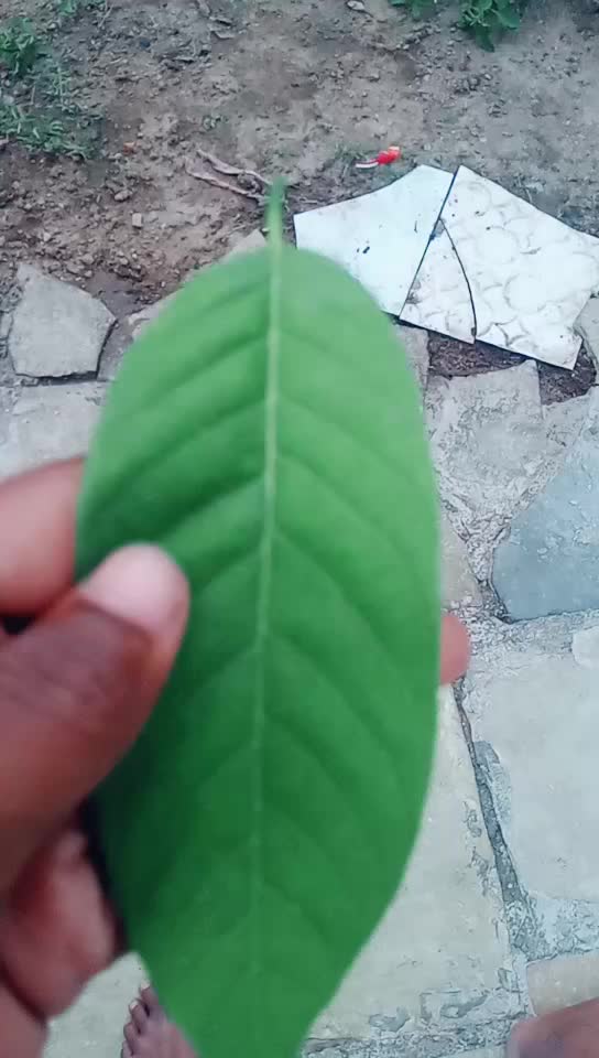 @sai mødél 143 $๐๐