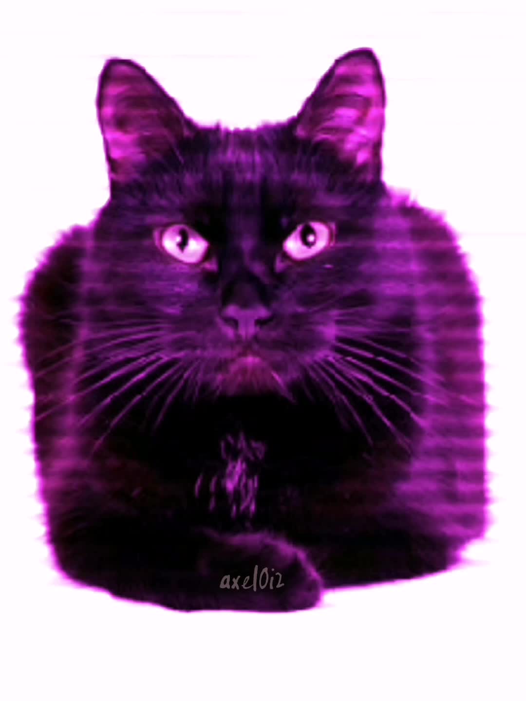 @<3