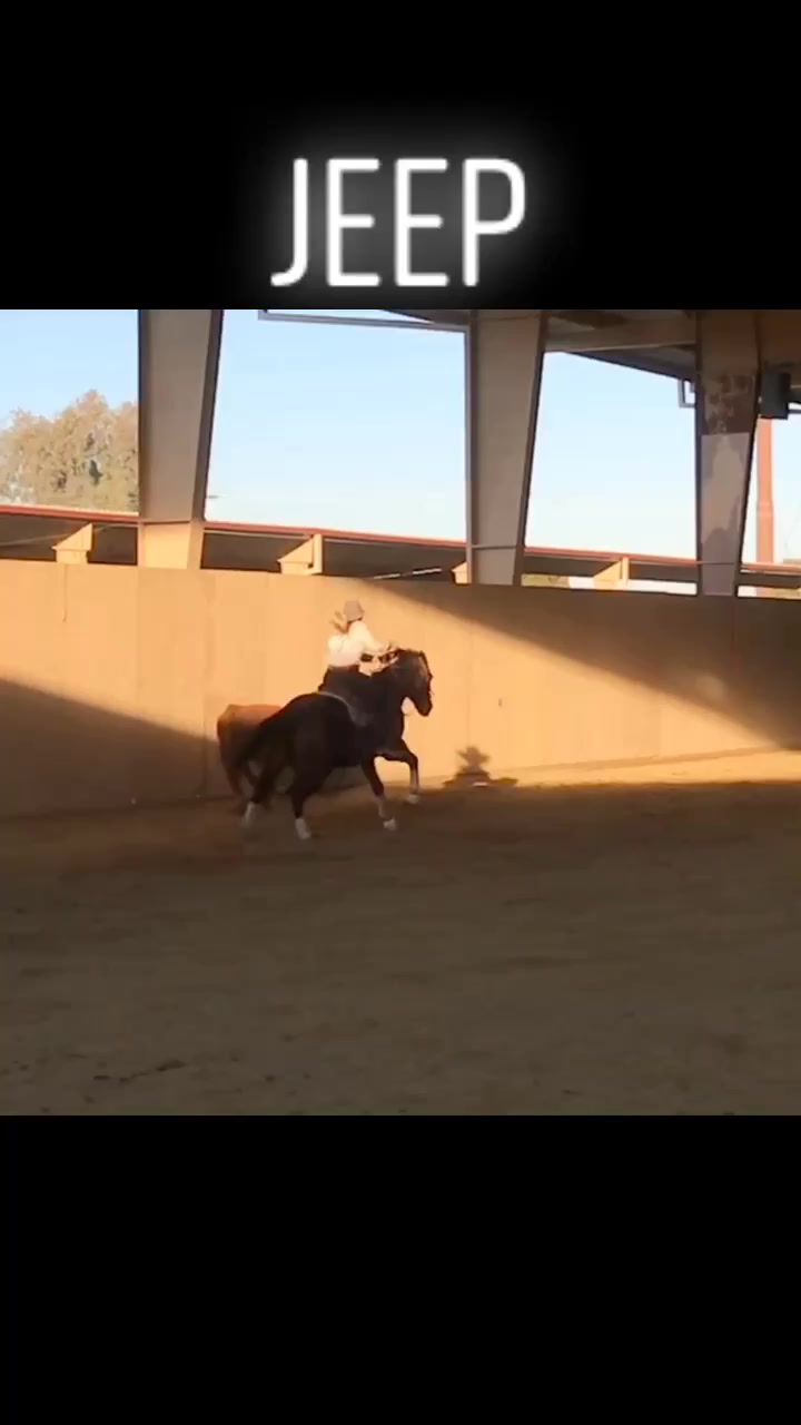 @Equine.blessings