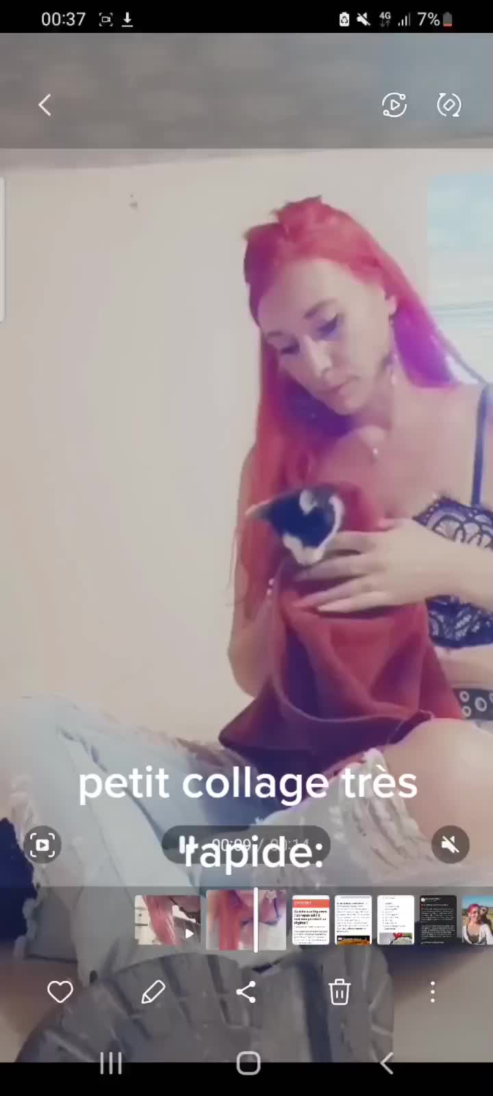 @kitty