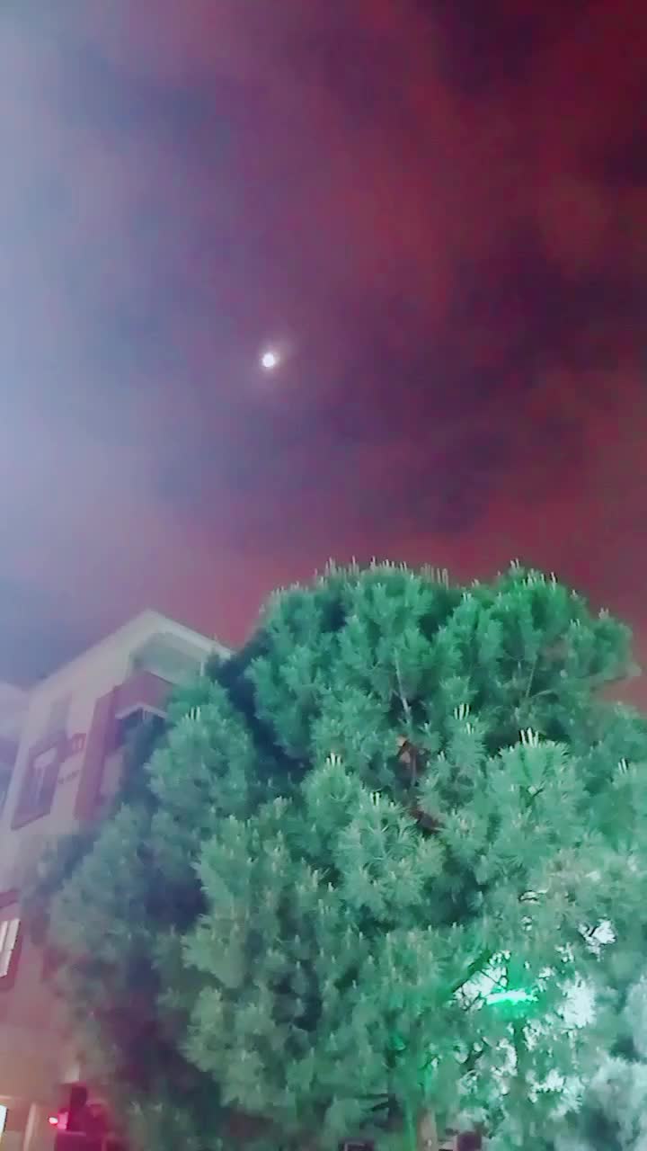 @Sultan türk51