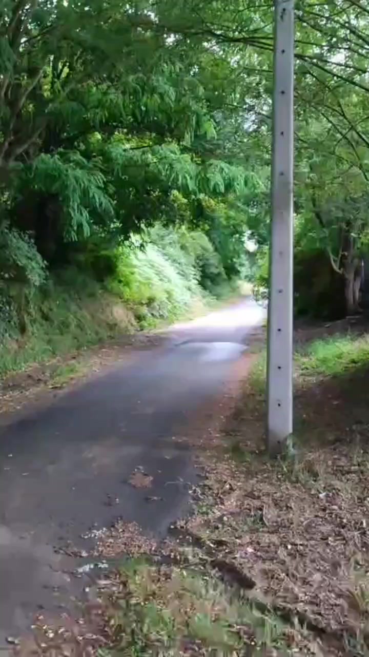 @Wes | Bikelife