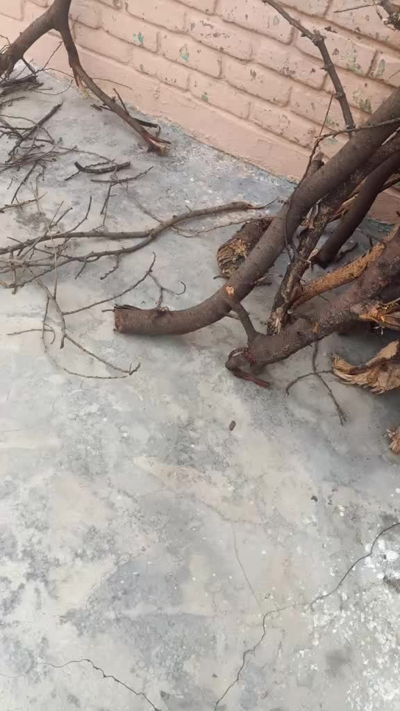 @❤️_Mehak_❤️