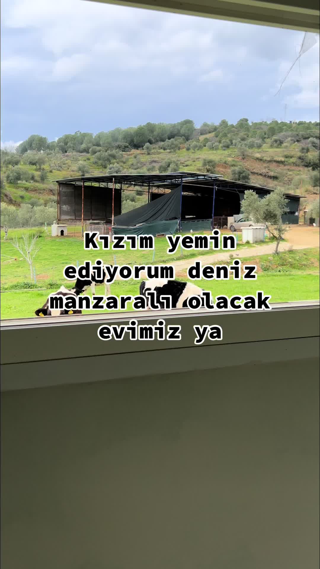 @Töre