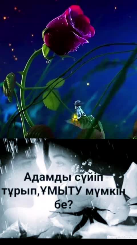 @Taraz0876