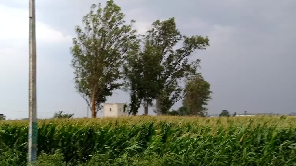 @Satvir S. Bhutta