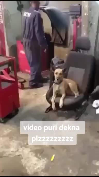 @Rajat ShaKya
