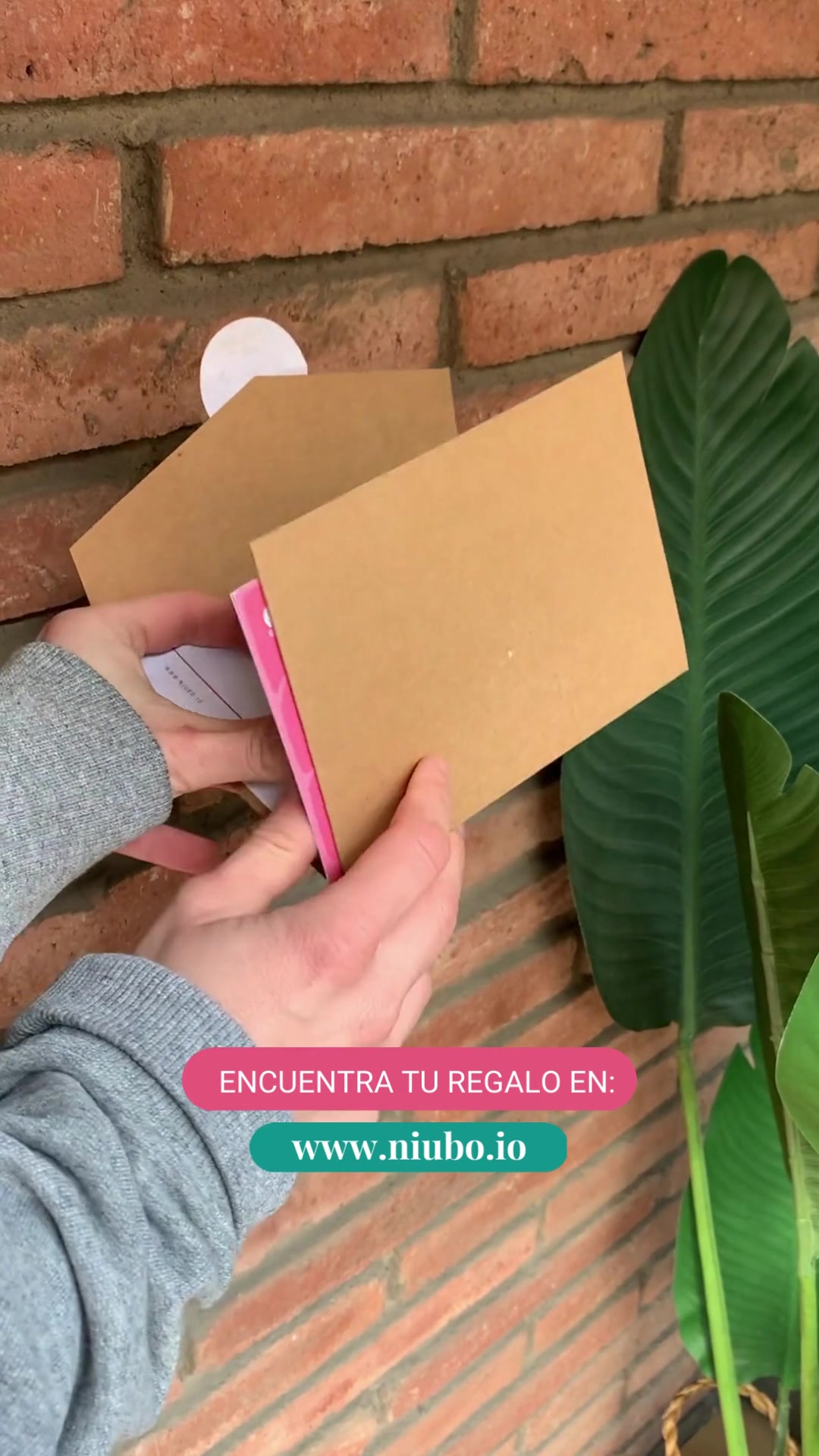 @Niubo