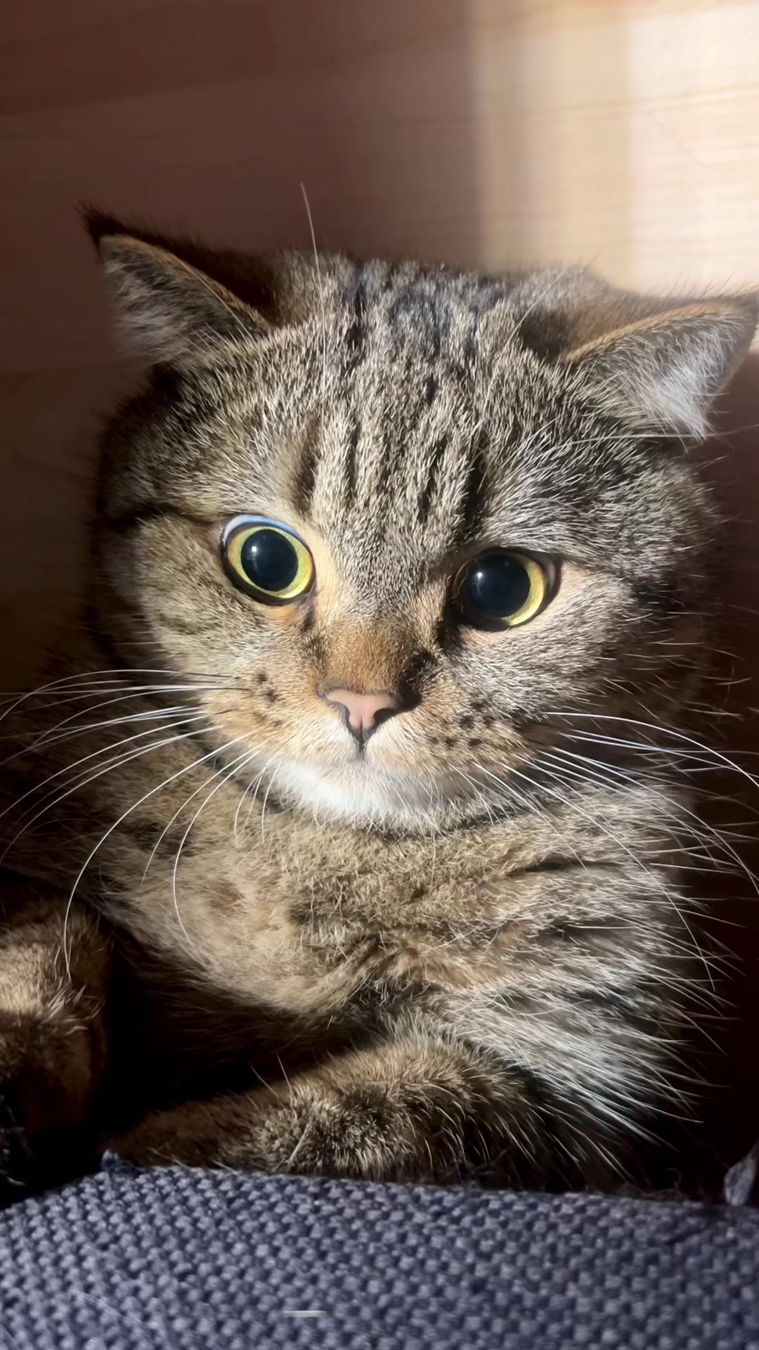 @Джоні 😻