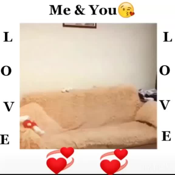 @aanchu❤❤