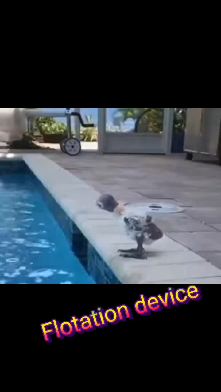 @Lil_CapybaraYT