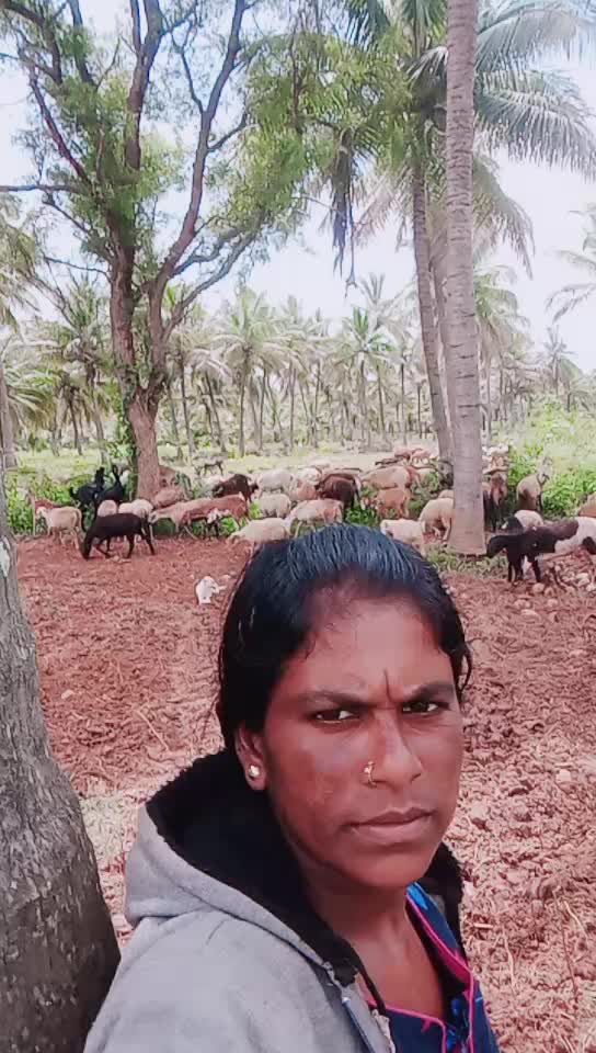 @Chandrappa Chandrapp