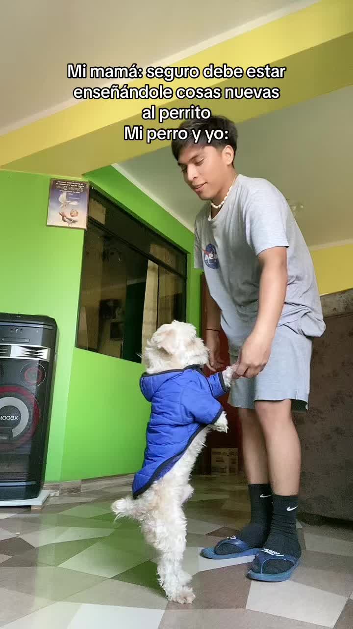 @Carlos V&aacute;squez 🐨