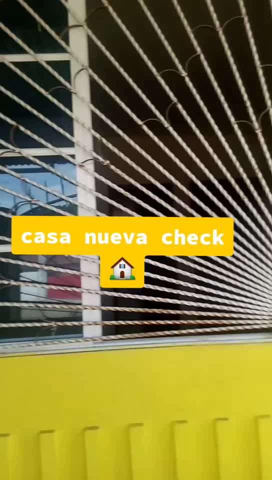@mis mascotas