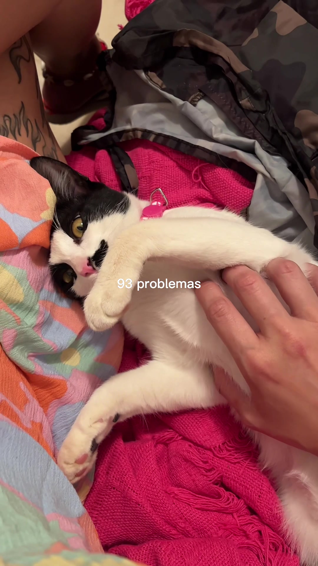 @Paula
