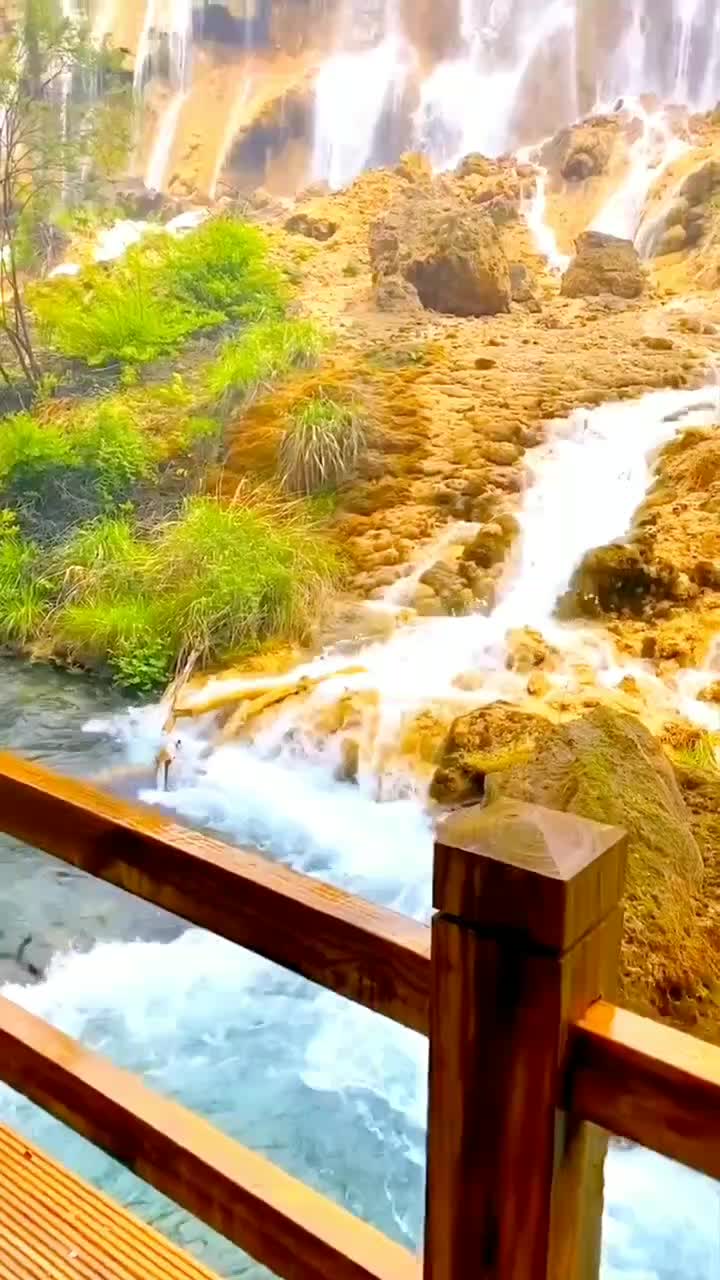 @user80925757305