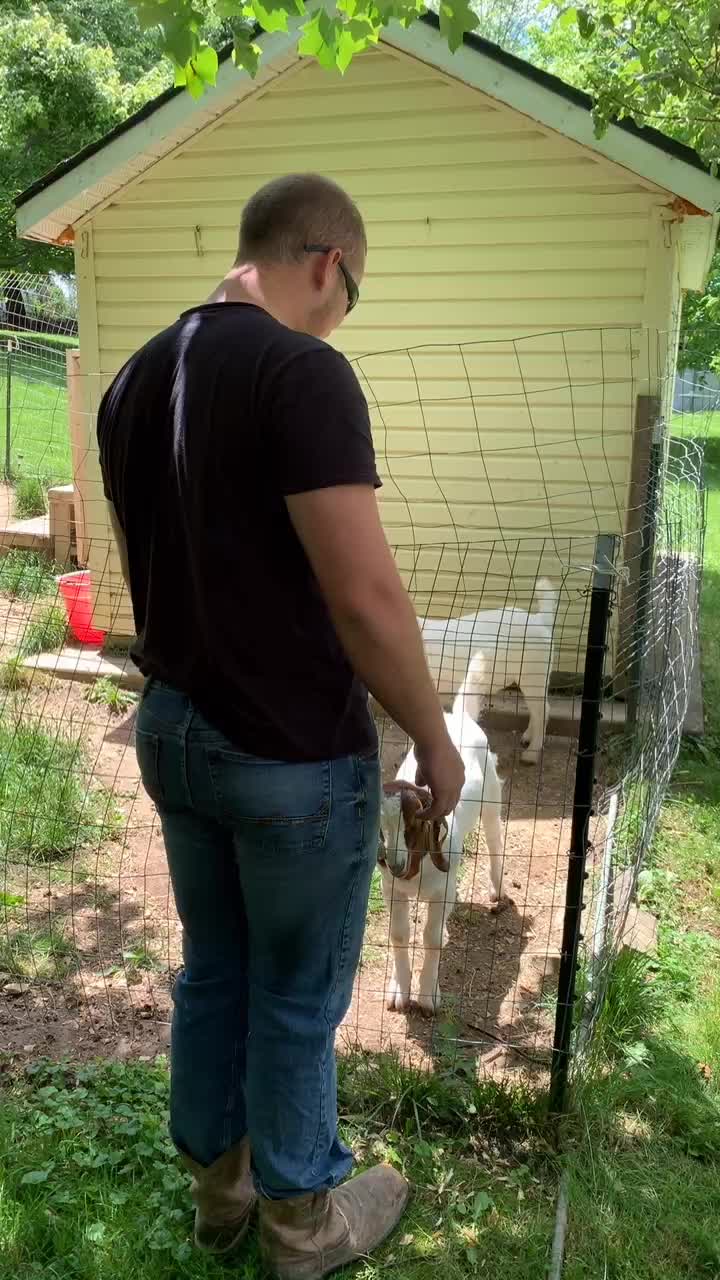 @brock_lub