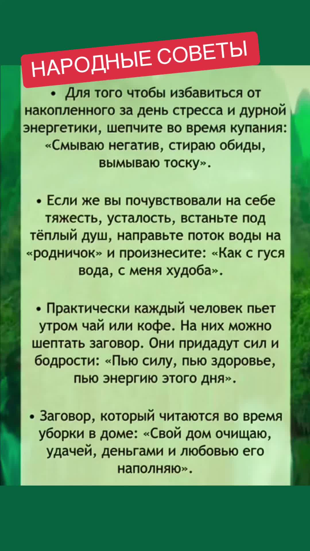 @🍀AIDA🍀🍀