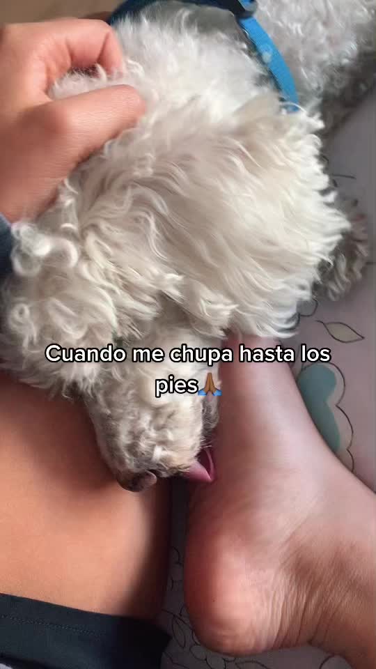 @Mafgb