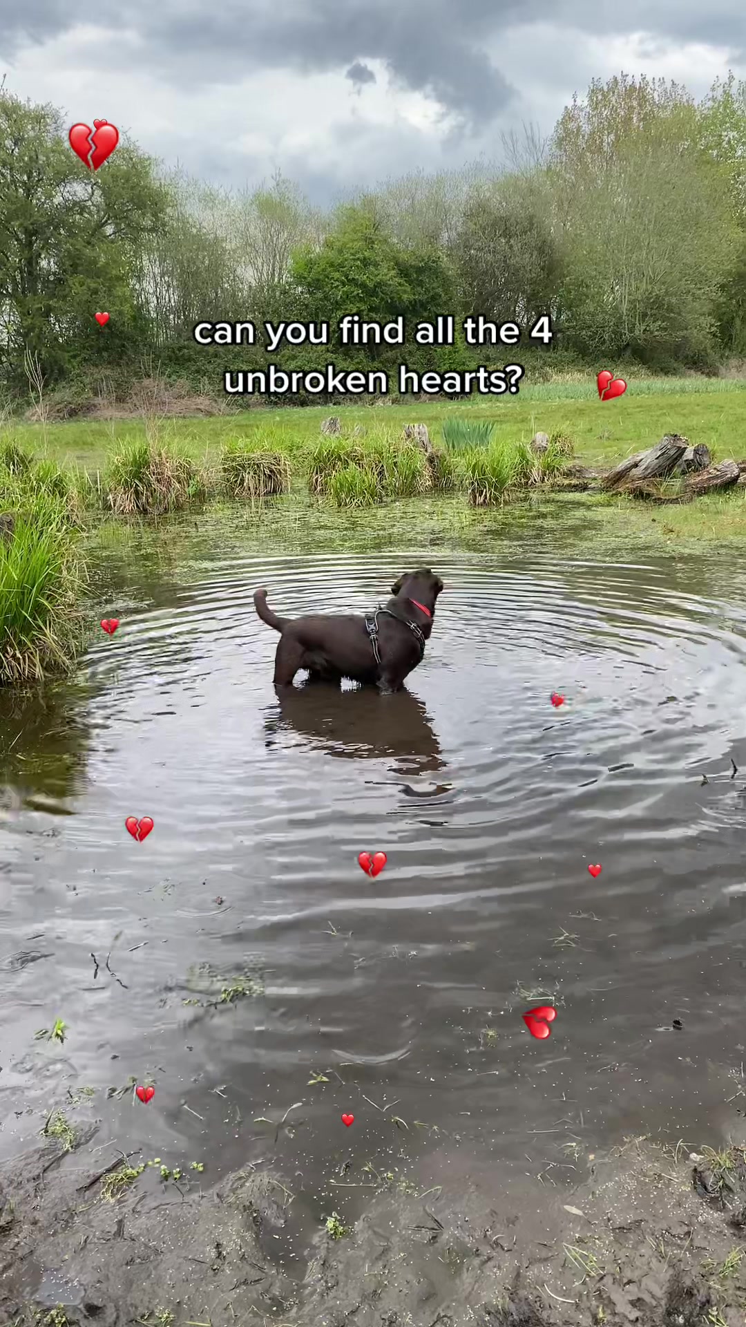 @🐾 𝑻𝒆𝒅𝒅𝒚🐾