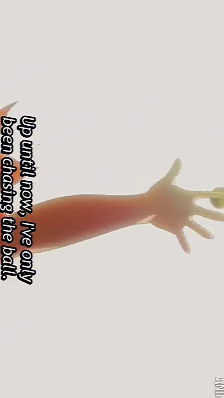 @:(: