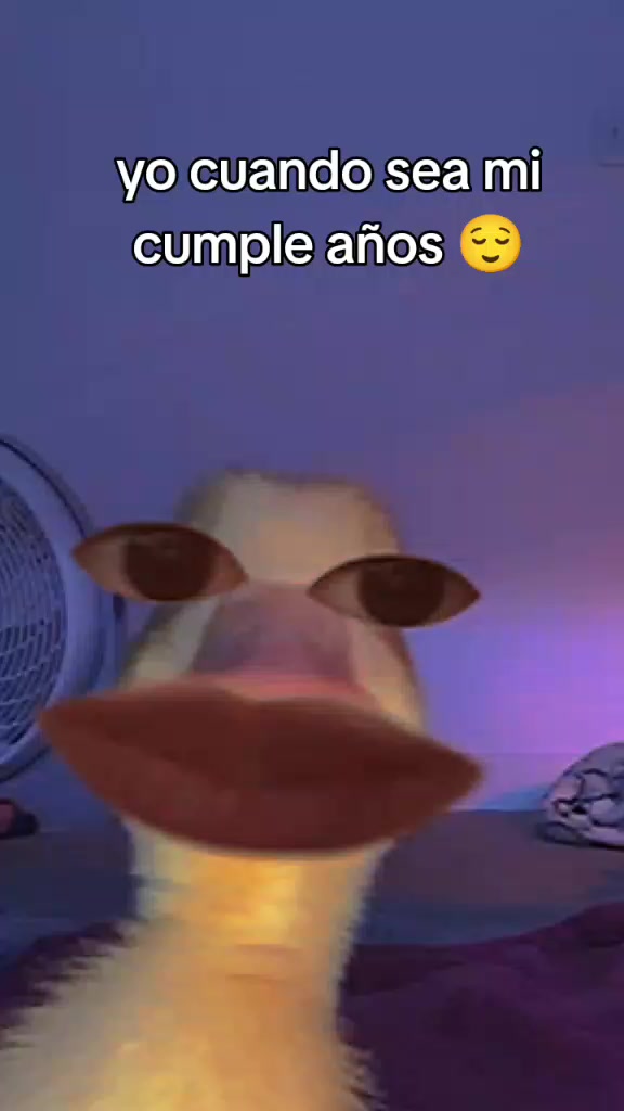 @soltera_porque kiero 😻