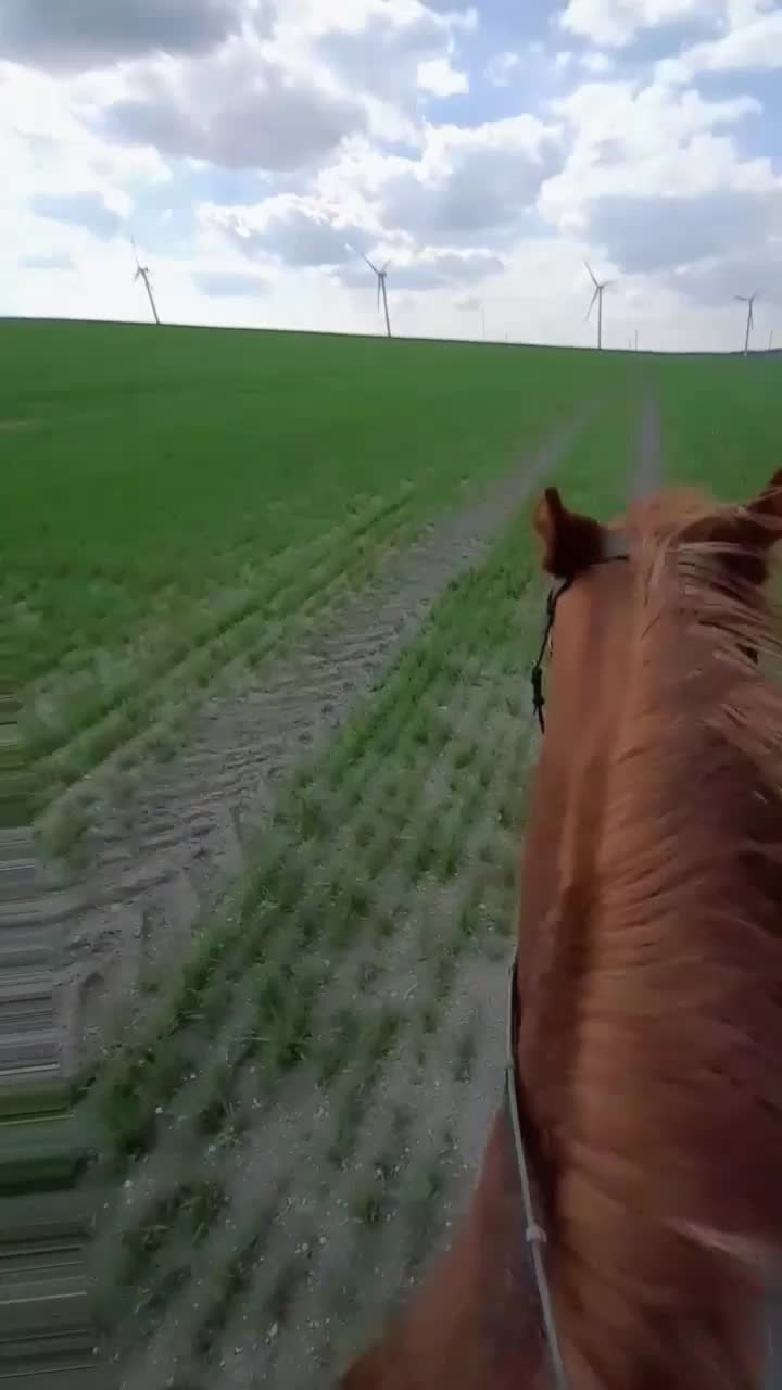 @lifep369KN