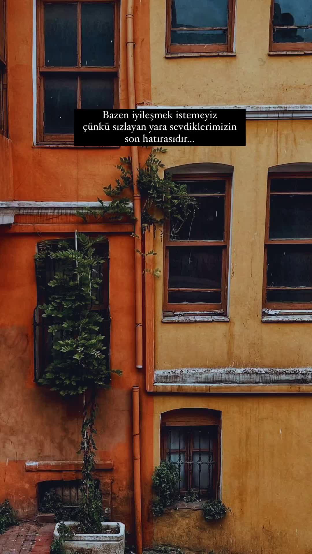 @Ana kraliçe 👑🐙